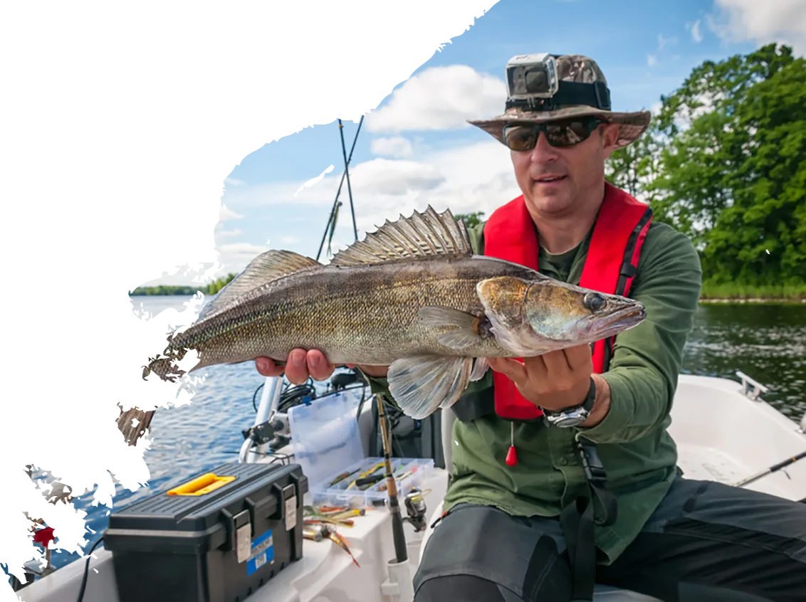 Modern Design Gears Fishing Rods - 咪咕体育直播